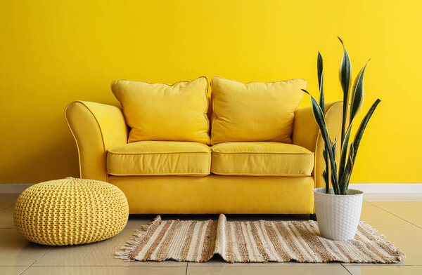 靠近黄墙的带有沙发、书包和室内盆栽的现代客厅的内部 图片素材