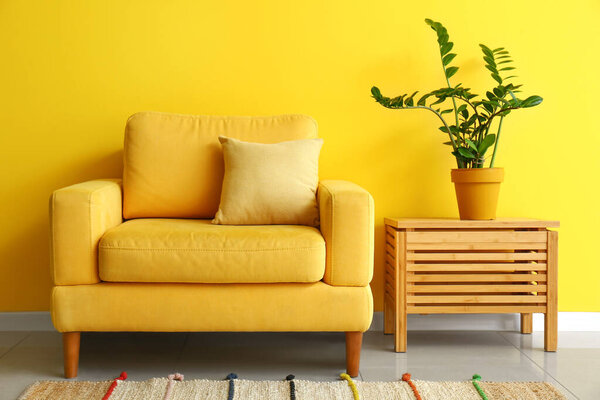 彩墙附近桌子上舒适的扶手椅和室内盆栽 图片素材