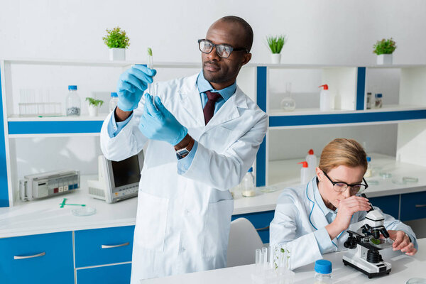 非洲裔美国生物学家用显微镜握住试管和同事  图片素材