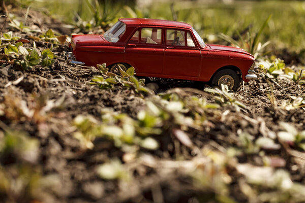 阳光明媚、背景模糊的小山上，可收集的玩具车模型Moskvich 412红色，青草丛生 图片素材