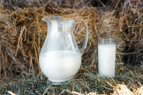 在农场的干草堆上用牛奶罐和玻璃的选择性焦点  图片素材