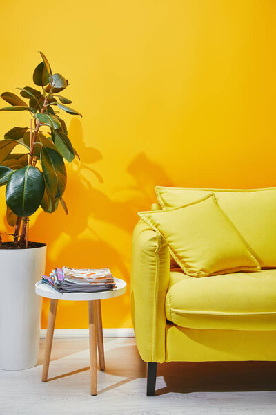 沙发, 植物在锅和咖啡桌与杂志附近的黄色墙壁 图片素材