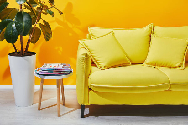 沙发枕头, 室内植物和小桌子与杂志附近的黄色墙壁 图片素材