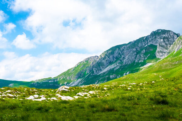 黑山杜尔米托尔地块的山脉和山谷景观 图片素材