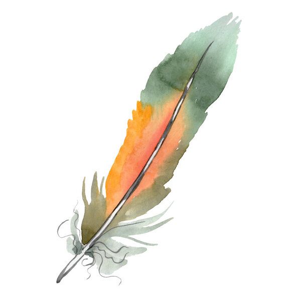 五颜六色的鸟羽毛从翅膀孤立。水彩背景插图集。独立羽化插图元素. 图片素材