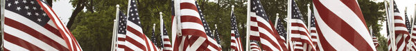 排行榜尺寸 728 x 90-美国国旗在干草, 弗吉尼亚在阵亡将士纪念日在威廉县弗吉尼亚王子. 图片素材