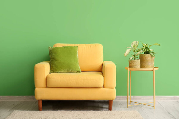 房间里靠近绿墙的桌子和扶手椅上的家庭植物 图片素材